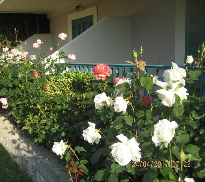 Kyveli Hotel Apartments Vrontados Exterior photo